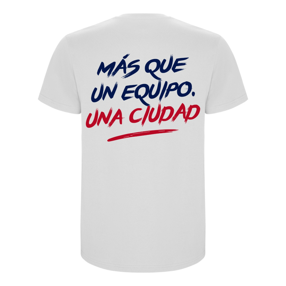 Camiseta Playoff 26